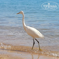 фото из отзыва ID 2570786