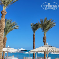 фото из отзыва ID 2570786