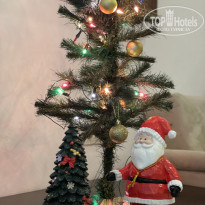 фото из отзыва ID 2570960