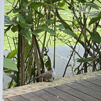 фото из отзыва ID 2571099