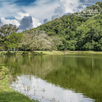 фото из отзыва ID 2571243