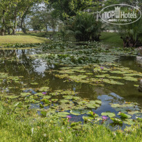 фото из отзыва ID 2571243