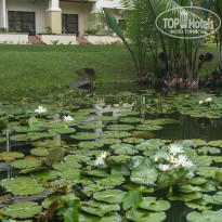 фото из отзыва ID 2571243