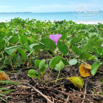 фото из отзыва ID 2571378