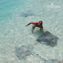 фото из отзыва ID 2571547