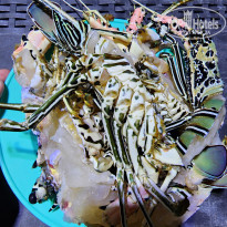 фото из отзыва ID 2571547