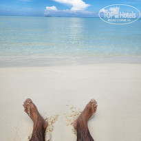 фото из отзыва ID 2571547