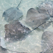 фото из отзыва ID 2571547