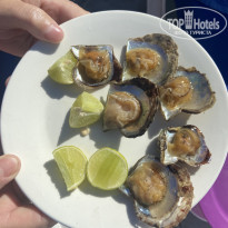 фото из отзыва ID 2571698