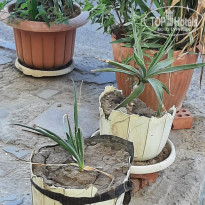 фото из отзыва ID 2571717