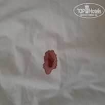 фото из отзыва ID 2571717