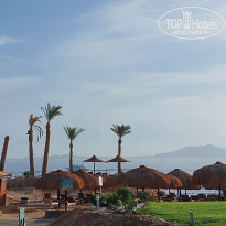 фото из отзыва ID 2571828