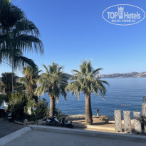 фото из отзыва ID 2572012