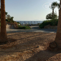 фото из отзыва ID 2572011