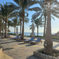 фото из отзыва ID 2572323