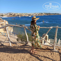 фото из отзыва ID 2572367