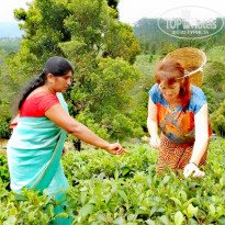 фото из отзыва ID 2572382