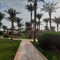 фото из отзыва ID 2572416