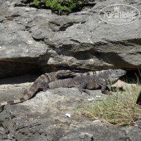 фото из отзыва ID 2572470