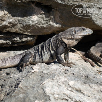 фото из отзыва ID 2572470