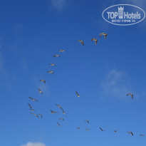 фото из отзыва ID 2572470