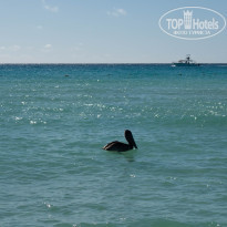 фото из отзыва ID 2572470