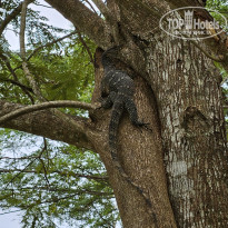 фото из отзыва ID 2572487