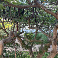 фото из отзыва ID 2572569