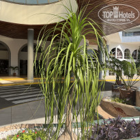 фото из отзыва ID 2572569