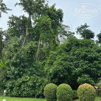 фото из отзыва ID 2572636