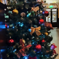 фото из отзыва ID 2572666