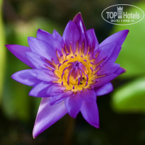 фото из отзыва ID 2572883