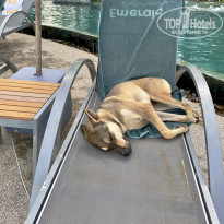 фото из отзыва ID 2572883