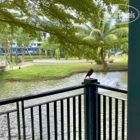 фото из отзыва ID 2572883