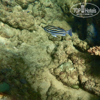 фото из отзыва ID 2572883