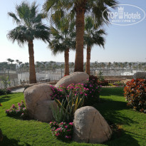 фото из отзыва ID 2572984