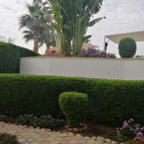 фото из отзыва ID 2572984