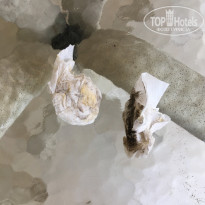 фото из отзыва ID 2571898