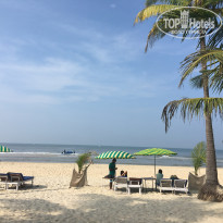 фото из отзыва ID 2571898