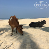 фото из отзыва ID 2571898