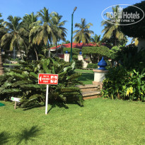 фото из отзыва ID 2571898