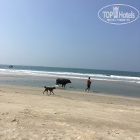 фото из отзыва ID 2571898