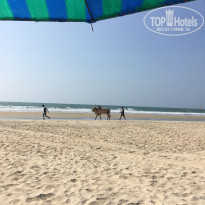 фото из отзыва ID 2571898