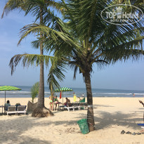 фото из отзыва ID 2571898