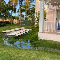 фото из отзыва ID 2573155