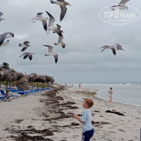 фото из отзыва ID 2573155