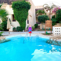 фото из отзыва ID 2573236