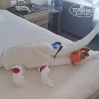 фото из отзыва ID 2573244