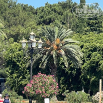 фото из отзыва ID 2573166