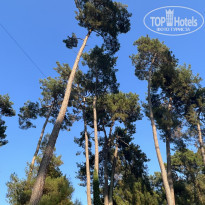 фото из отзыва ID 2573166